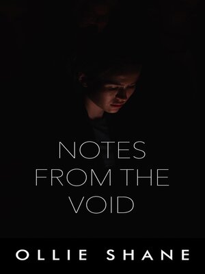 cover image of Notes From the Void